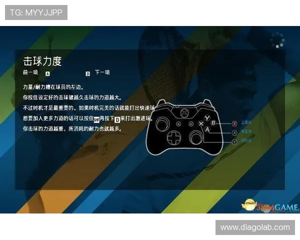 独家深度解读上海网球队耐力表现及其影响因素分析
